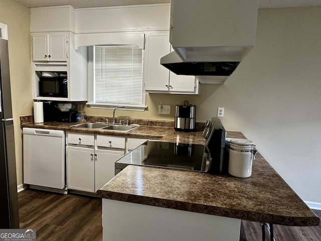 kitchen with white dishwasher, a sink, dark wood-style floors, and dark countertops