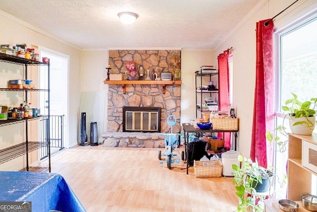 2621 Manor Pl, Ellenwood, GA 30294 - living room featuring crown molding, a textured ceiling, a stone fireplace, and wood finished floors