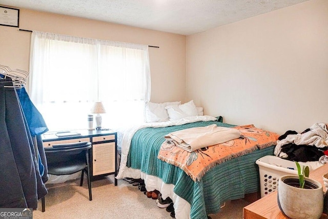 2621 Manor Pl, Ellenwood, GA 30294 - view of carpeted bedroom