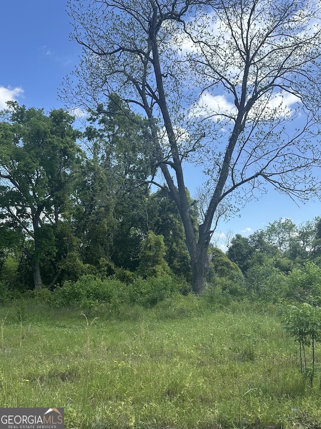 1981 Houston Ave, Macon GA, 31201 land for sale