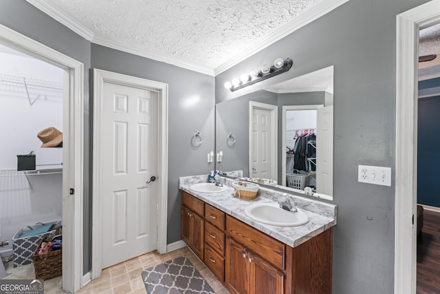 308 Dylan Way, Mcdonough, GA 30252 - full bath featuring a spacious closet, double vanity, crown molding, a textured ceiling, and baseboards