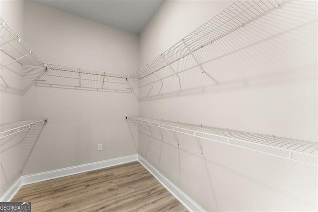 346 Chandler Ct, Alto, GA 30510 - walk in closet with light wood-style floors