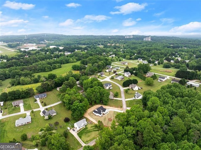 346 Chandler Ct, Alto, GA 30510 - bird's eye view