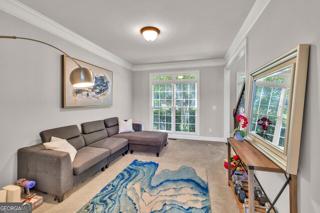 1584 Heartland Path, Hoschton, GA 30548 - living area featuring carpet floors and ornamental molding