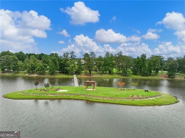 7712 Soaring Eagle Dr, Flowery Branch, GA 30542 - surrounding community with a water view and a lawn