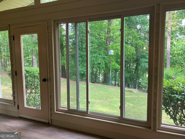 entryway with wood finished floors and a wealth of natural light