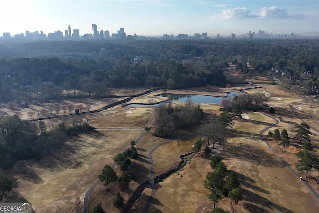 3820 Roswell Rd NE Unit 705, Atlanta, GA 30342 - view of property location with city skyline, a nearby body of water, and a heavily wooded area