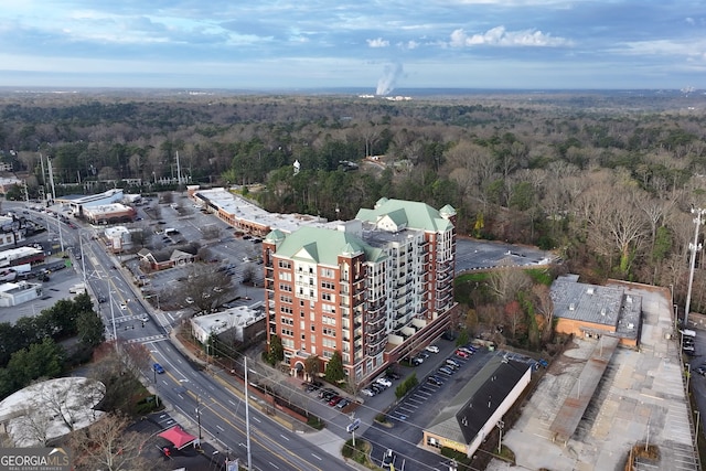 3820 Roswell Rd NE Unit 705, Atlanta, GA 30342 - view of property location with a forest