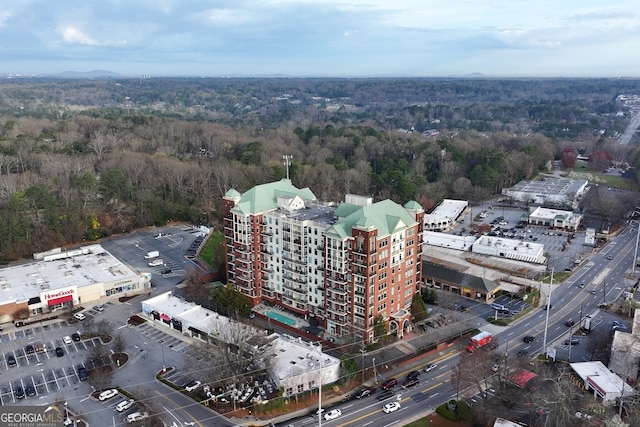 3820 Roswell Rd NE Unit 705, Atlanta, GA 30342 - aerial view of a forest