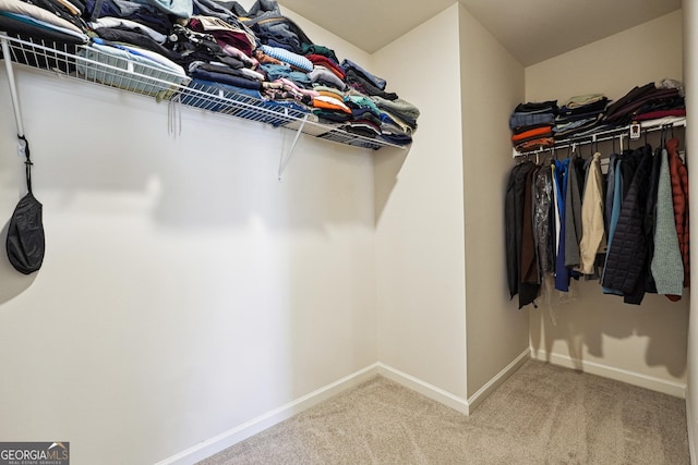 walk in closet with carpet floors