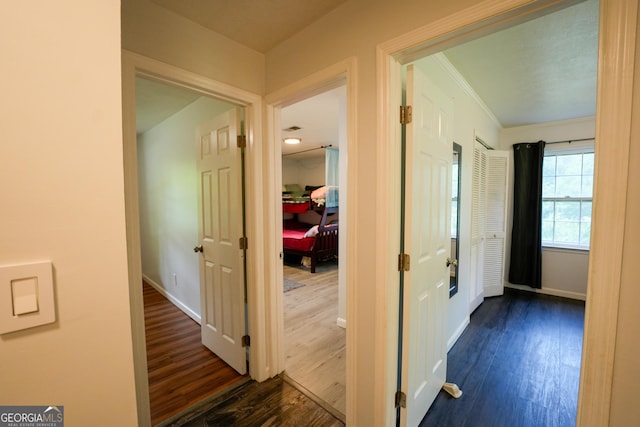 253 Dry Creek Rd, Cedartown, GA 30125 - hall featuring baseboards, dark wood-style flooring, and crown molding