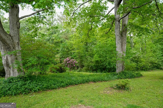 253 Dry Creek Rd, Cedartown, GA 30125 - view of nature with a wooded view
