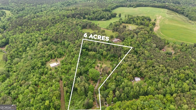 253 Dry Creek Rd, Cedartown, GA 30125 - birds eye view of property featuring a wooded view