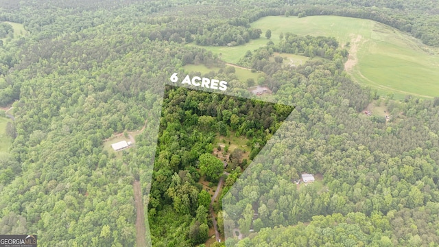 253 Dry Creek Rd, Cedartown, GA 30125 - aerial view featuring a wooded view
