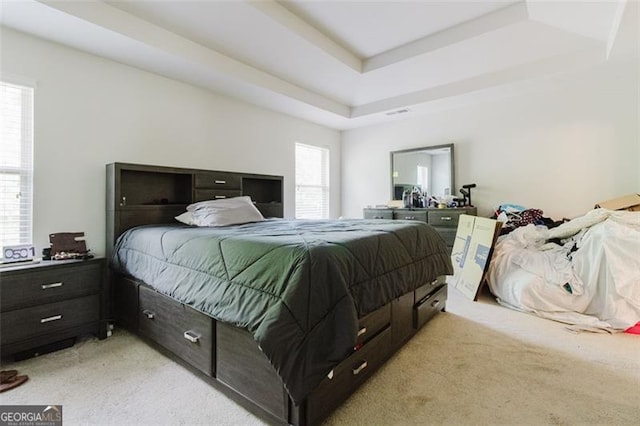 bedroom featuring a raised ceiling and light carpet