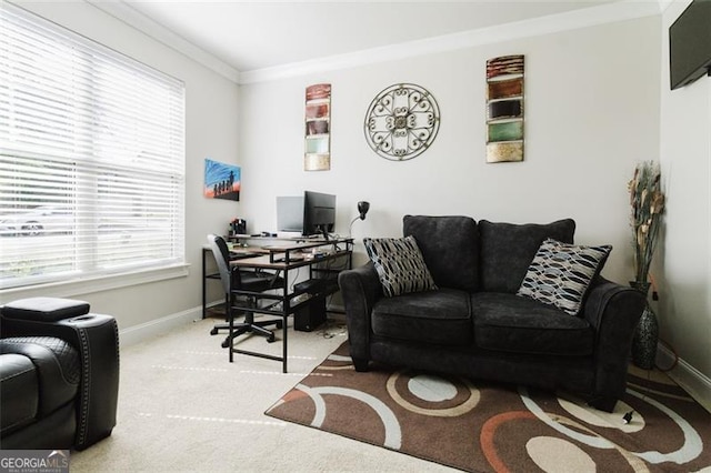 carpeted office space featuring baseboards and ornamental molding