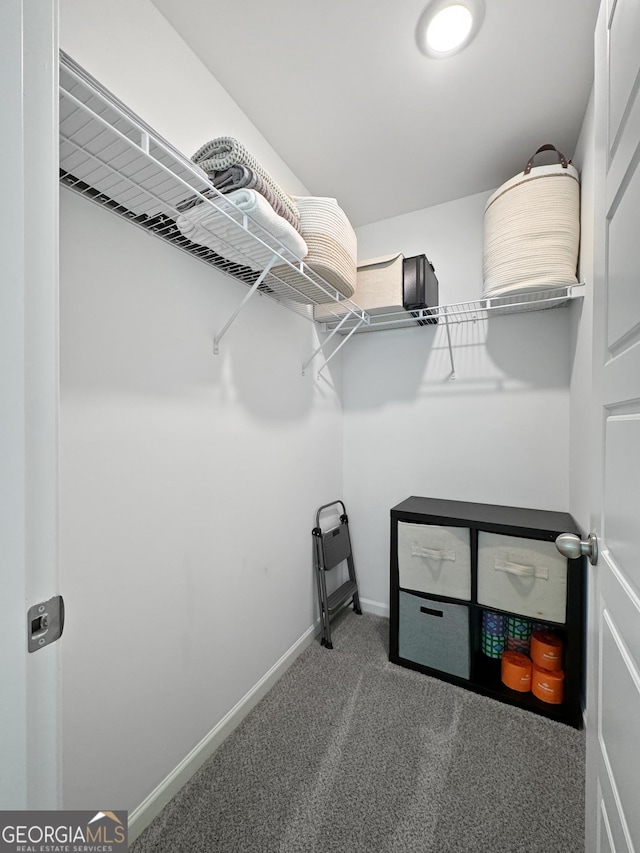 walk in closet featuring carpet flooring