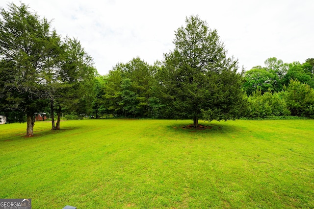 108 Hope Ln, Cedartown, GA 30125 - view of yard
