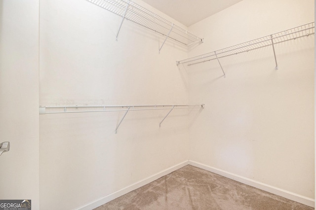 spacious closet featuring light colored carpet