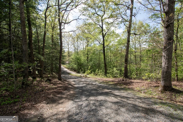 view of road featuring a wooded view