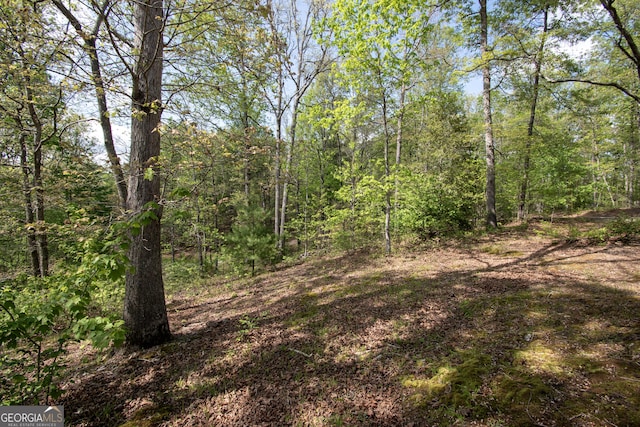 view of local wilderness with a view of trees