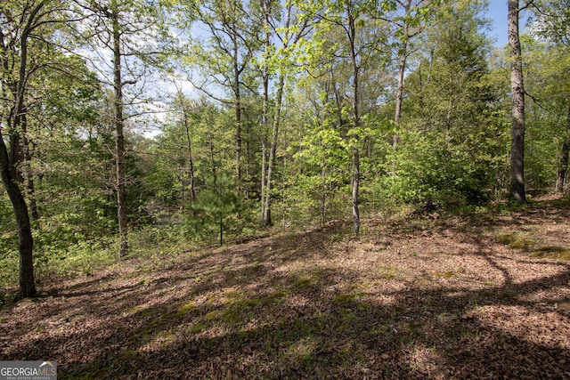 view of landscape featuring a view of trees