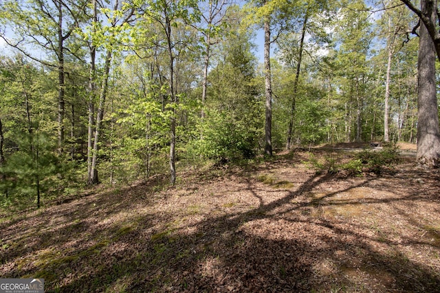 view of local wilderness with a view of trees