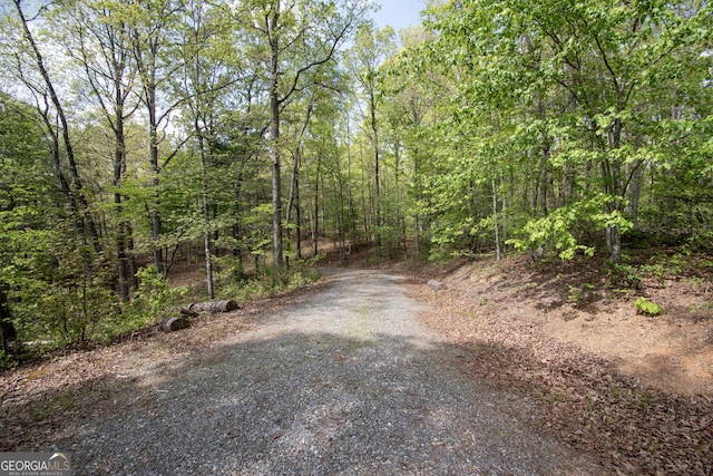 view of street with a forest view