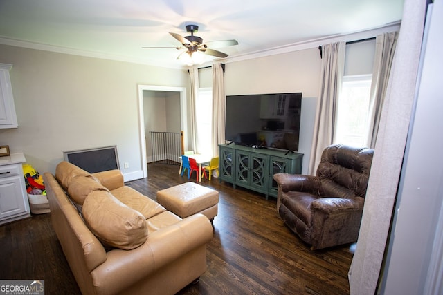 living room with dark wood-type flooring, ornamental molding, and ceiling fan