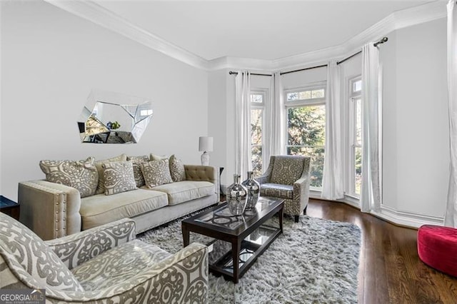 living room featuring crown molding and wood finished floors