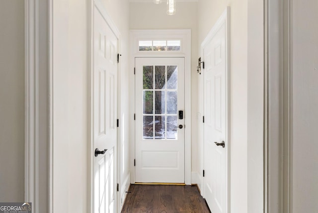 entryway featuring dark wood-type flooring