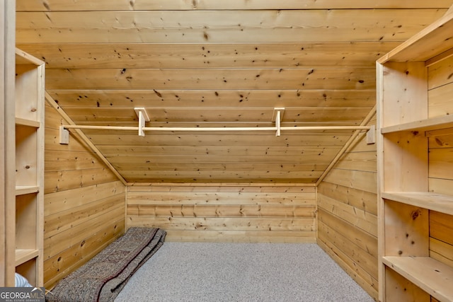 234 Raindance Ln, Clayton, GA 30525 - walk in closet with carpet