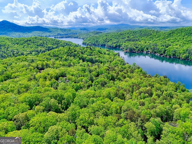 234 Raindance Ln, Clayton, GA 30525 - aerial view of a forest and a water and mountain view