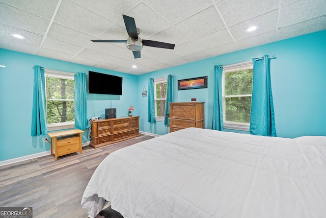 bedroom with ceiling fan, a paneled ceiling, wood finished floors, baseboards, and recessed lighting