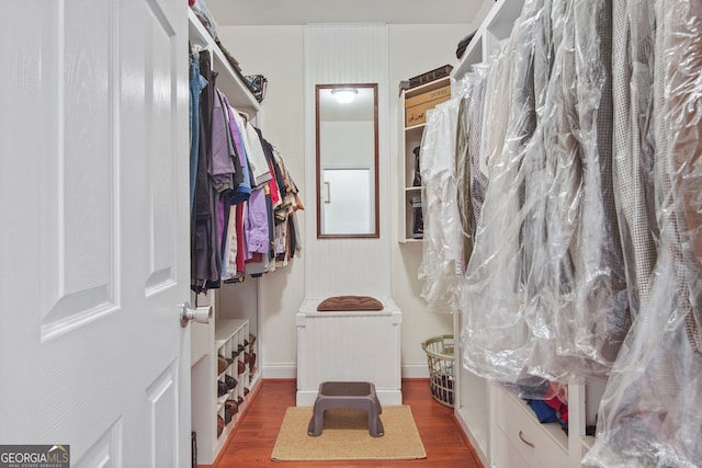 spacious closet featuring wood finished floors