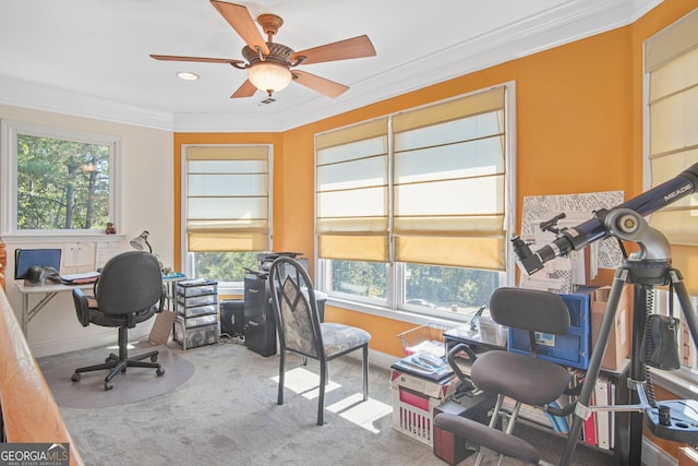 home office featuring crown molding, carpet floors, ceiling fan, and a wealth of natural light