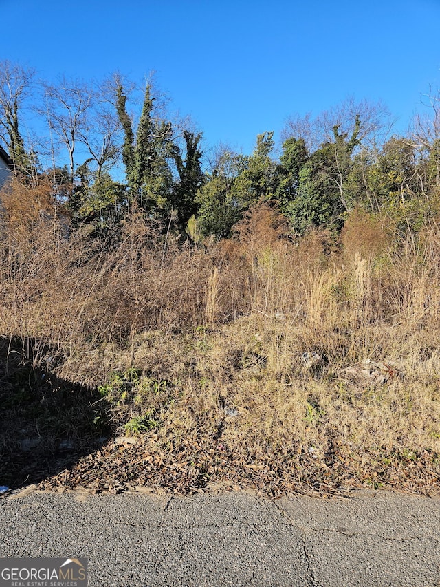 2571 Richard St, Macon GA, 31204 land for sale