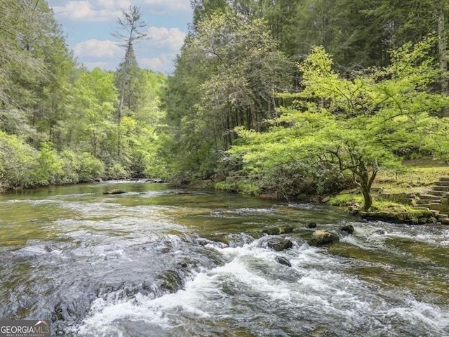 360 Cascade Pt, Ellijay, GA 30540 - water view with a heavily wooded area