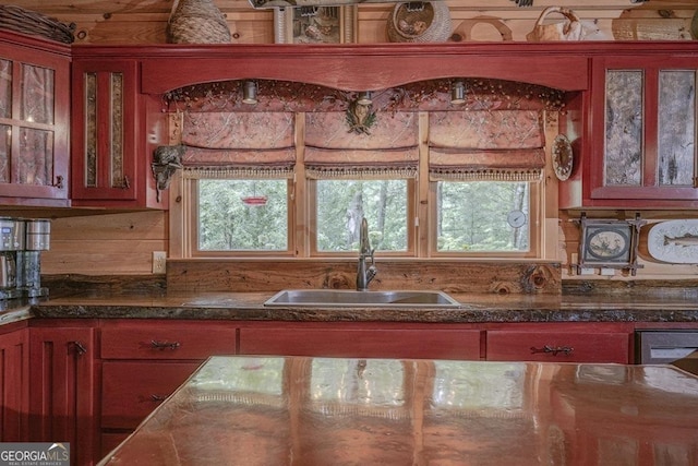 kitchen featuring a sink and glass insert cabinets