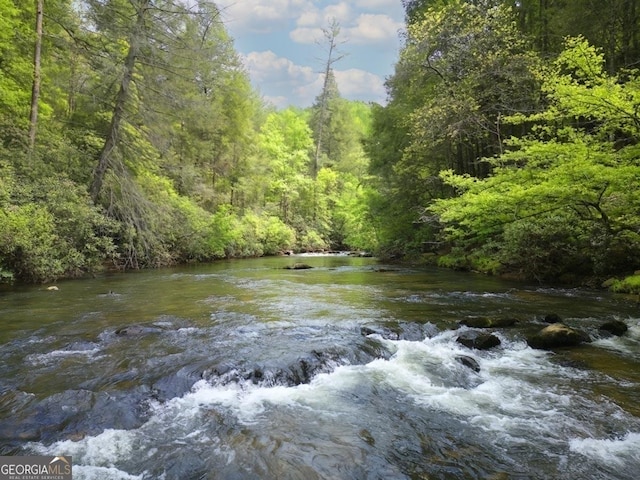 water view with a view of trees