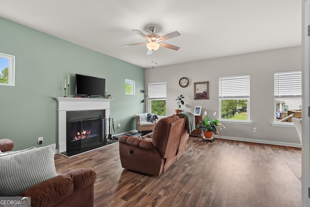 living room with a warm lit fireplace, ceiling fan, a wealth of natural light, and wood finished floors