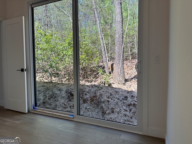 entryway with wood finished floors