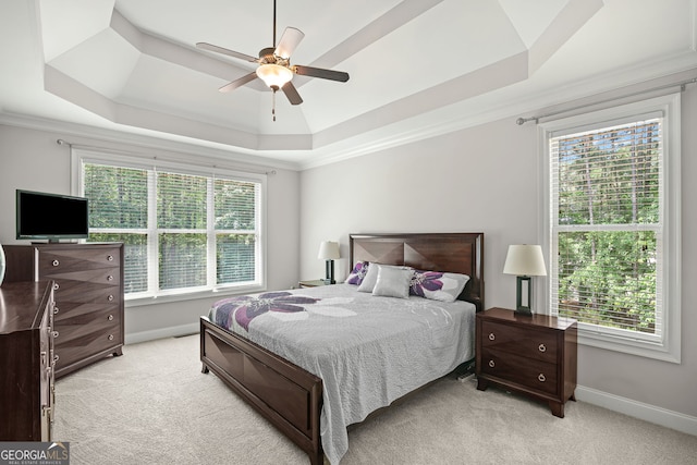 68 Timber Creek Estates Dr, Sharpsburg, GA 30277 - bedroom with baseboards, light colored carpet, multiple windows, and a raised ceiling