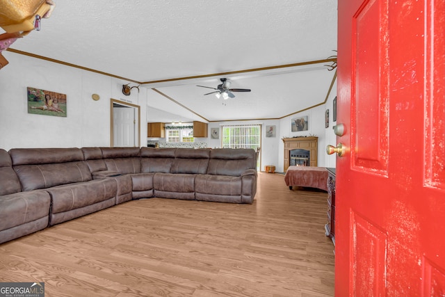 187 New Hope Rd, Canon, GA 30520 - living area with a ceiling fan, a textured ceiling, light wood finished floors, and a fireplace