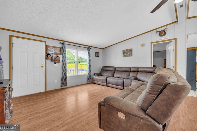 187 New Hope Rd, Canon, GA 30520 - living room featuring a textured ceiling, ornamental molding, ceiling fan, and light wood finished floors