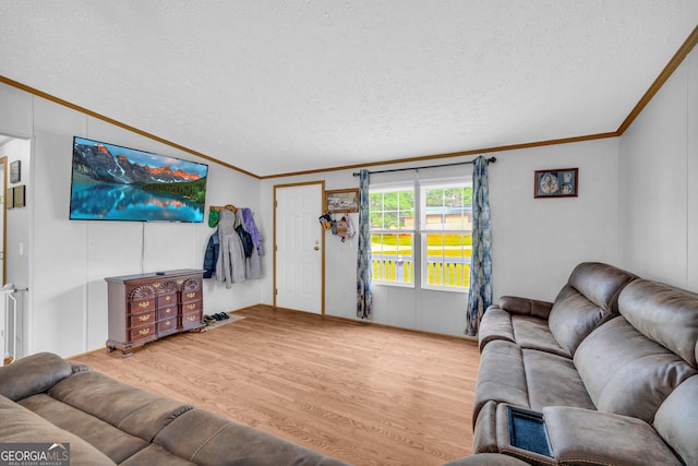 187 New Hope Rd, Canon, GA 30520 - living room with a textured ceiling, ornamental molding, and wood finished floors