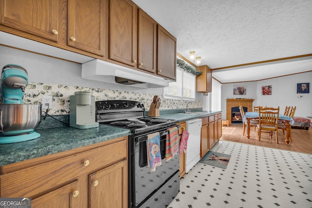 187 New Hope Rd, Canon, GA 30520 - kitchen featuring black electric range, dark countertops, white dishwasher, a sink, and under cabinet range hood