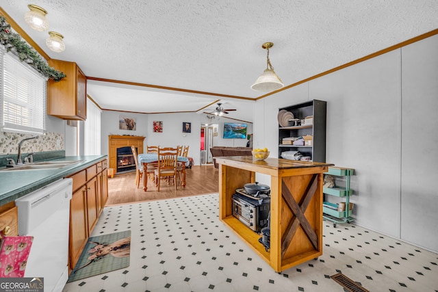 187 New Hope Rd, Canon, GA 30520 - kitchen featuring ornamental molding, a fireplace, light floors, a sink, and dishwasher