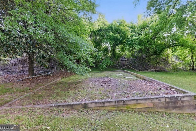 view of grassy yard