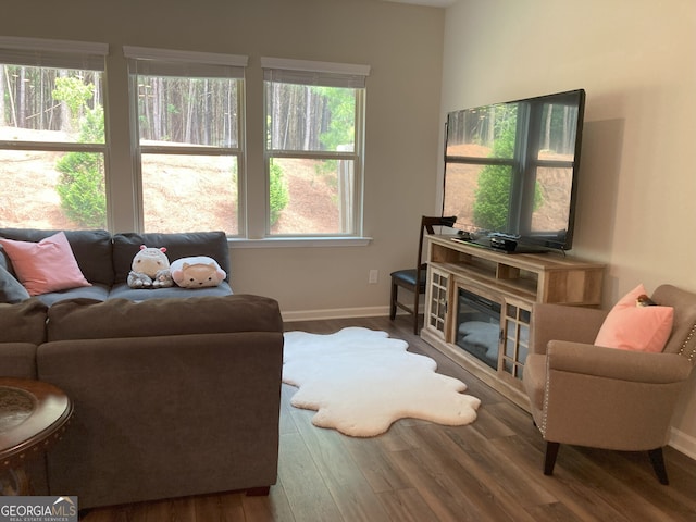 living area with baseboards and wood finished floors